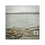 Istanbul, Bosporus, Reisefotografie, Düsseldorf, Türkei