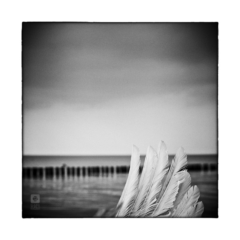 IMG_4283-web Ostsee, Meer, Schwarzweiss, Monochrome Fine Art, Strand