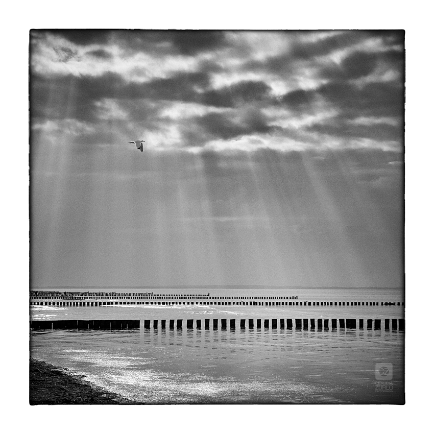 IMG_4325web Ostsee, Meer, Schwarzweiss, Monochrome Fine Art, Strand