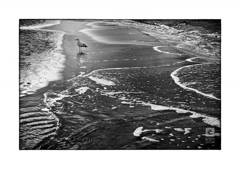 IMG_4403-web Ostsee, Meer, Schwarzweiss, Monochrome Fine Art, Strand