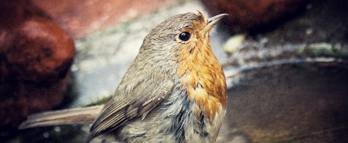 IMG_6510 IMG_6510